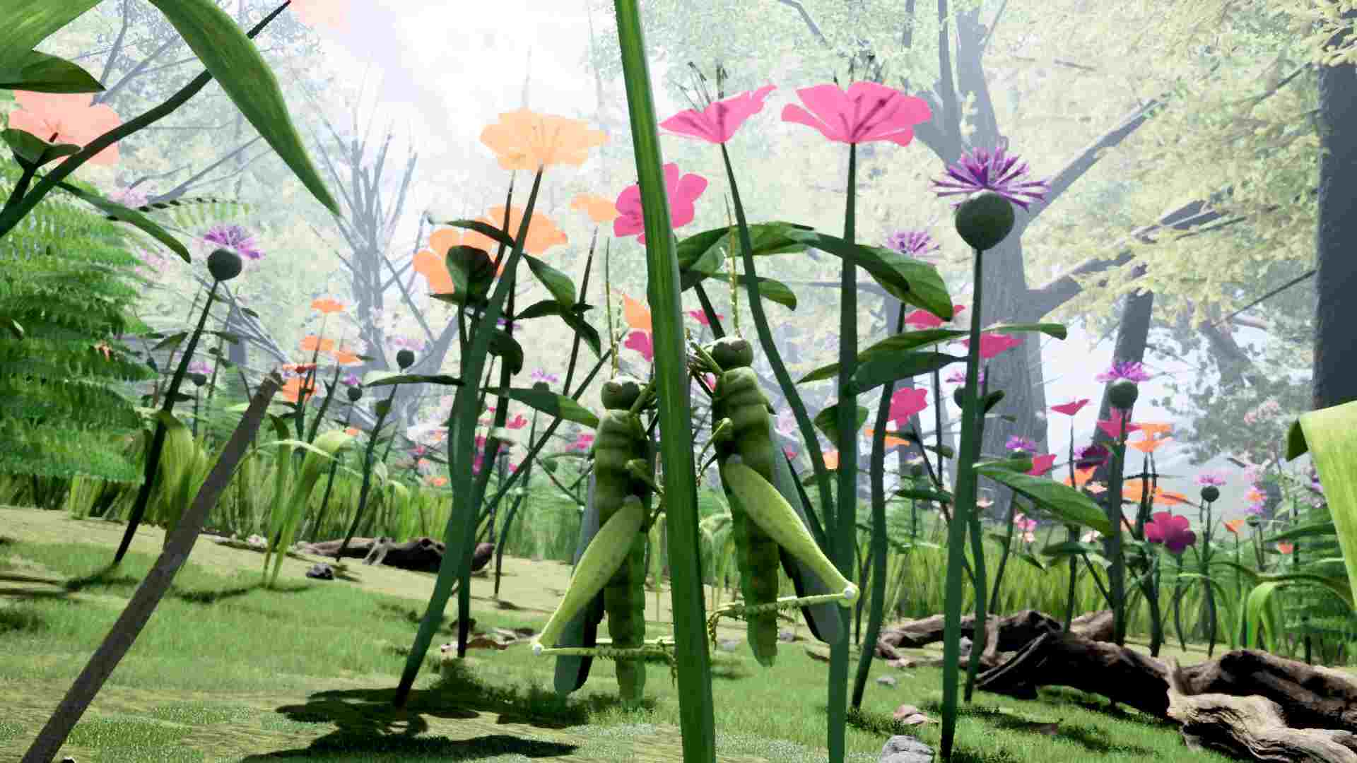 PC《自然与生命：醉心花蜜 Nature And Life - Drunk On Nectar》英文版下载（v0.4.3）_0